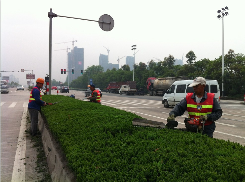 苏州园区绿植出租大概多少钱？