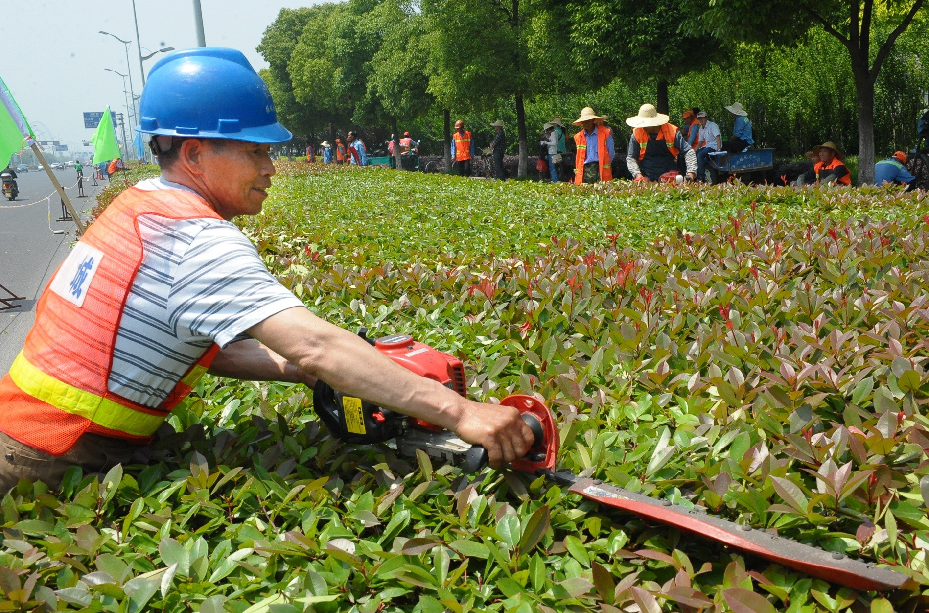 怎样判断苏州园区绿植出租公司的可靠性